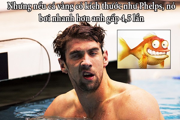 funfact về con người